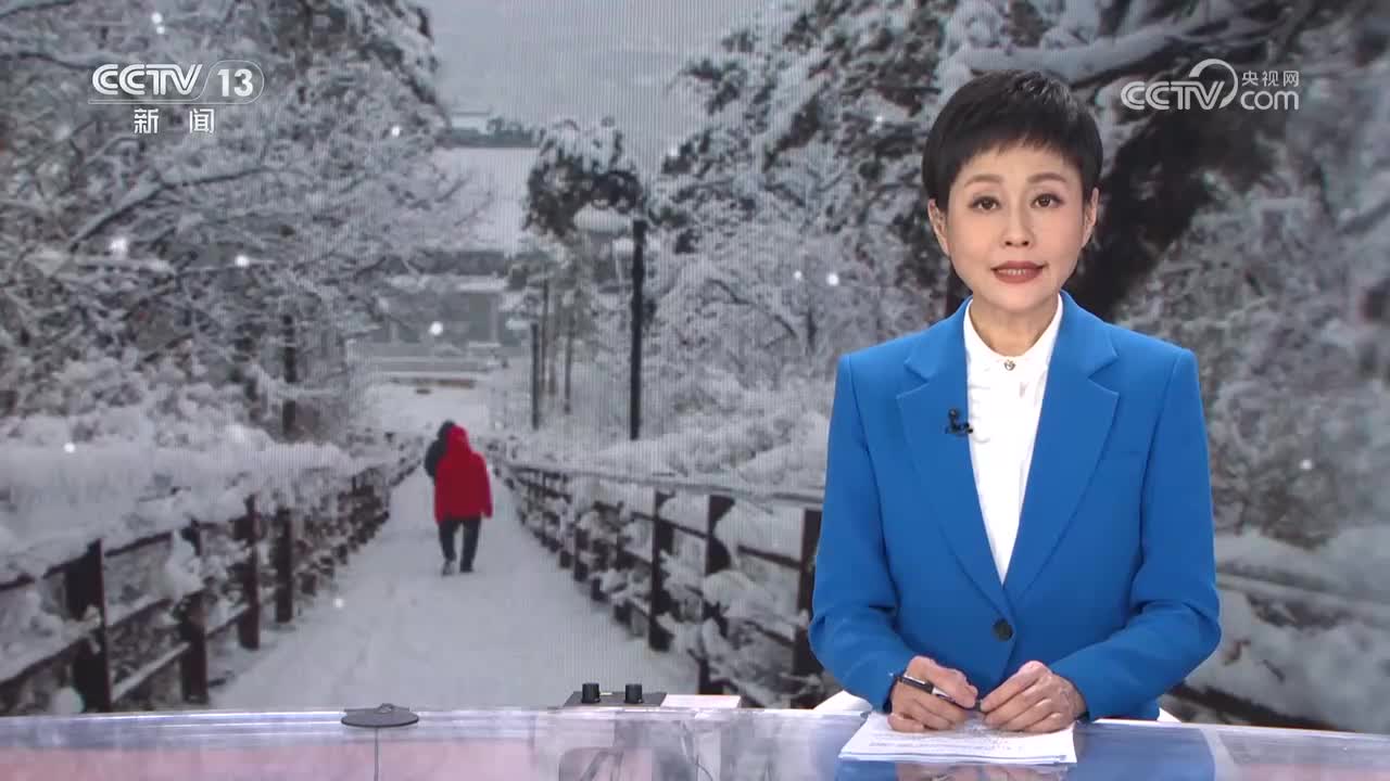 中央新闻直播2023今天,报道最新动态与深度分析,中央新闻直播2023今日报道,最新动态深度分析与解读