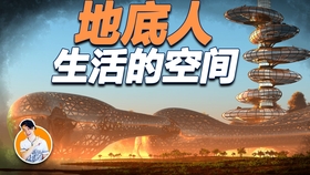 深度分析与展望