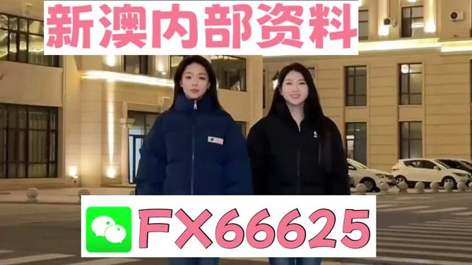 澳门王中王开一肖，探索神秘预测世界，澳门王中王神秘预测世界揭秘，一肖开运探索之旅
