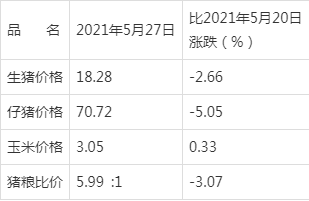 东南军情深度解析，聚焦2021年11月22日的军事动态，东南军情深度解析，聚焦最新军事动态，揭示2021年11月22日军事要闻背后的真相