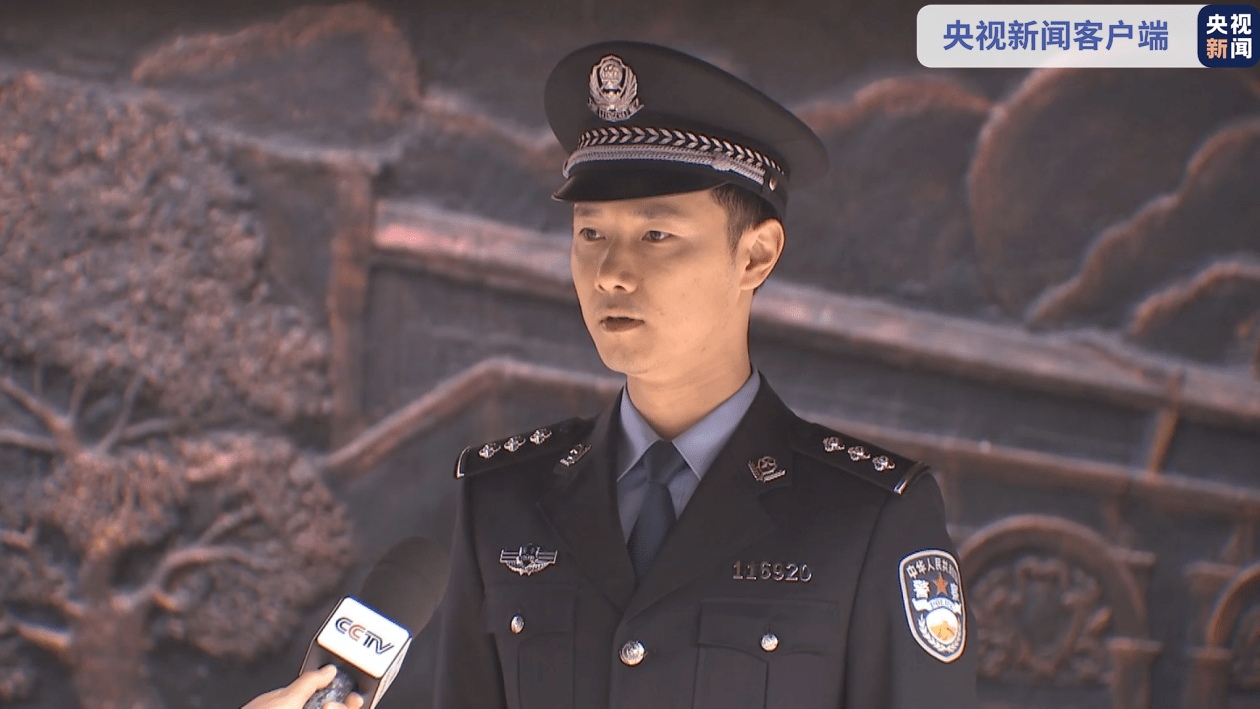 国家安全局与警察职业，职责、角色与差异解析，国家安全局与警察职业，职责、角色与差异深度解析