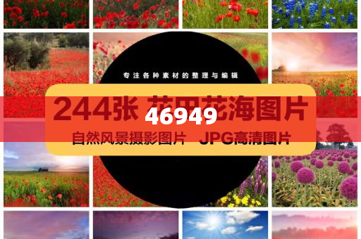 全年资料免费大全，探索知识的海洋，无限畅享学术资源，全年资料免费畅享，知识的海洋，无限学术资源等你来探索