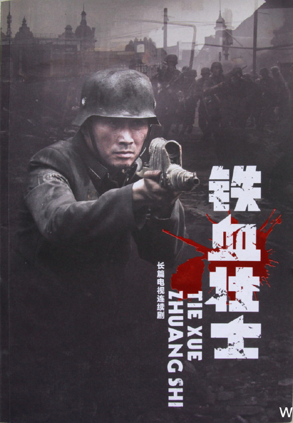 铁血解放，历史的壮丽篇章，铁血解放，历史的辉煌篇章