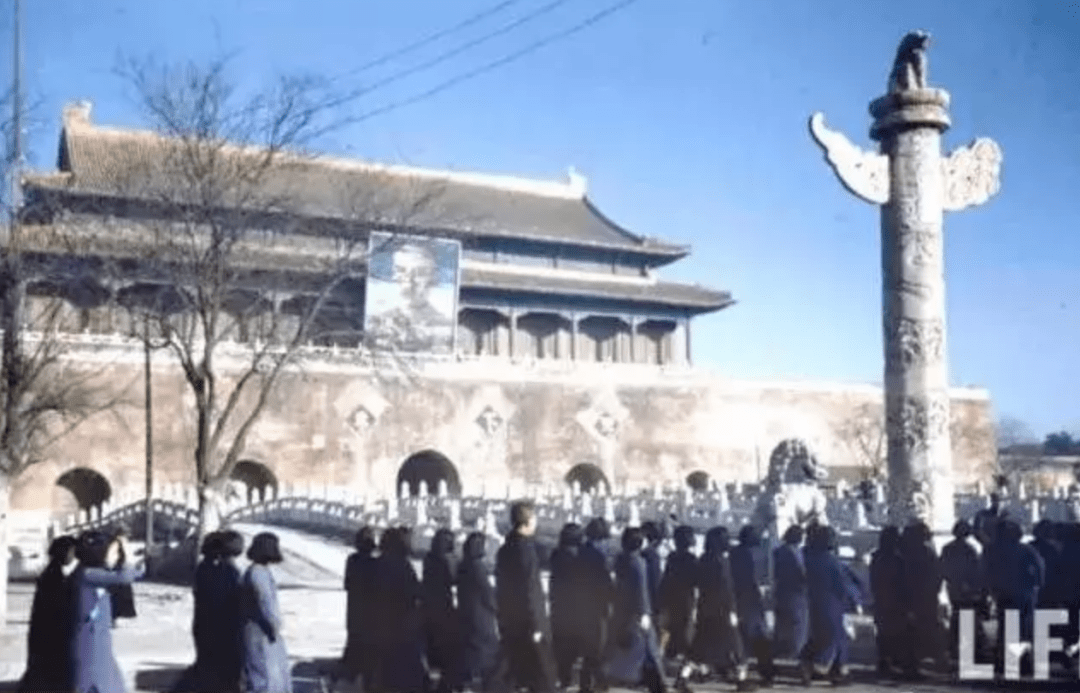 热点 第19页