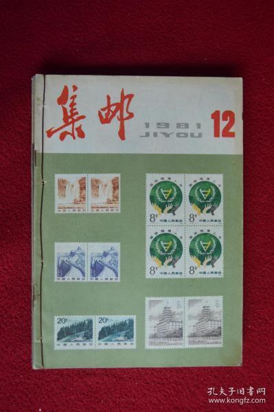 王中王81期指一生肖——探寻背后的神秘与魅力，王中王81期指一生肖，神秘魅力背后的探寻