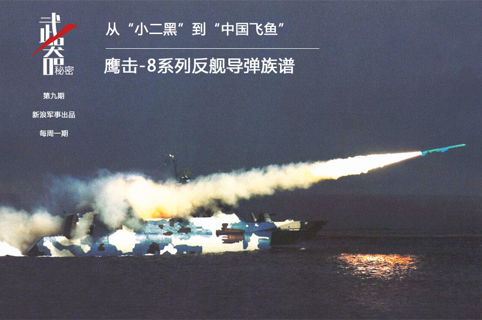 飞鱼导弹与鹰击18，两种武器的独特魅力与战略价值，飞鱼导弹与鹰击18，武器的独特魅力与战略价值解析
