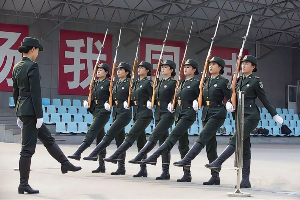 风雨中的荣耀——三军仪仗队视频观感，风雨中的荣耀，三军仪仗队风采展现的视频观感