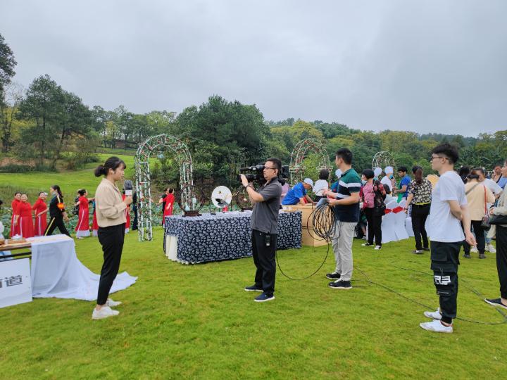 中央新闻在线直播，实时传递信息，展现时代风采，中央新闻在线直播，实时传递时代风采