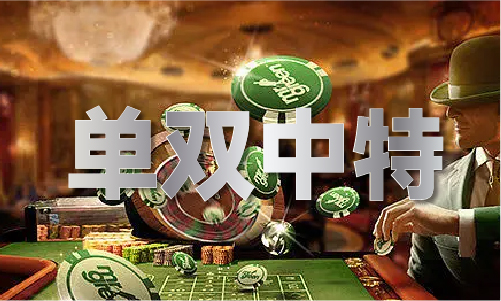 管家婆正版管家婆今天的全新体验与应用前景，管家婆正版软件全新体验与应用前景展望