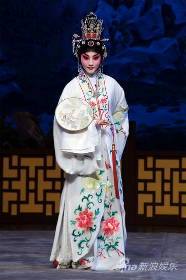 丁晓君个人资料，揭秘一位杰出人才的生平，丁晓君生平揭秘，一位杰出人才的个人资料