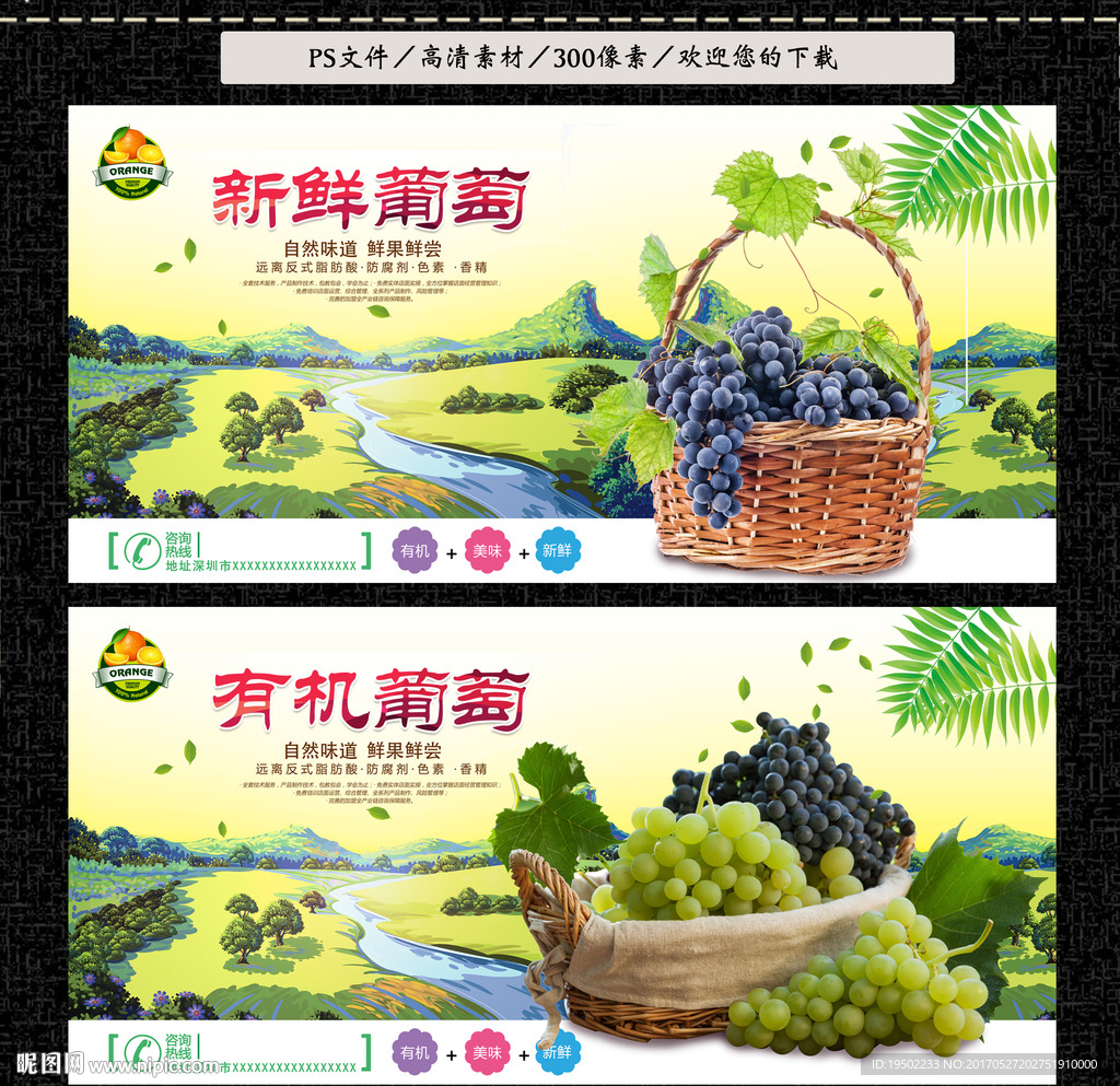 王中王葡萄新平特一肖，葡萄产业的传奇与独特魅力，葡萄传奇，王中王葡萄的独特魅力与新平特色