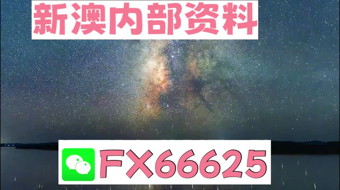 新澳天天免费资料大全,探索与解析,新澳天天免费资料大全,深度探索与解析