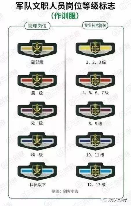 关于专业技术军官肩章，职责、象征与荣誉的象征，专业技术军官肩章，职责、象征与荣誉的彰显