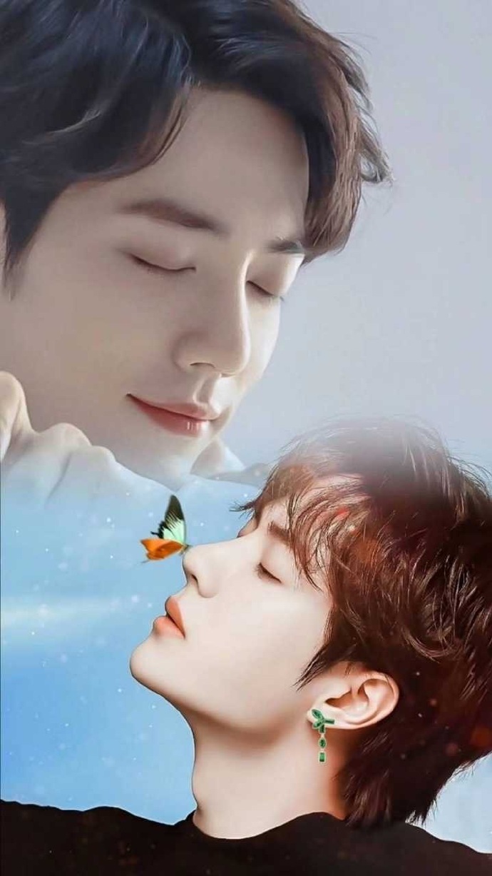 一肖王中王资料详解,一肖王中王资料全面解析