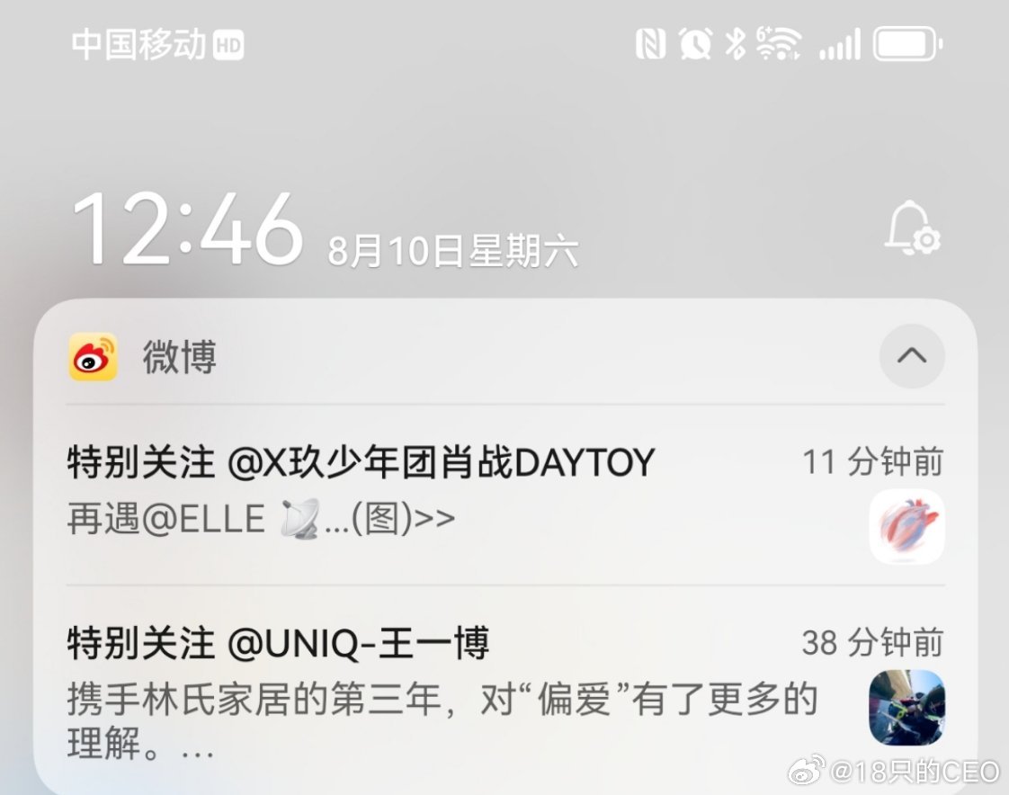 一肖王中王资料详解,一肖王中王资料全面解析