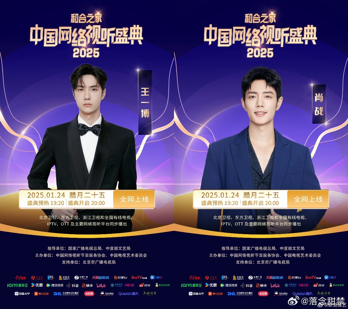 一肖王中王资料详解,一肖王中王资料全面解析