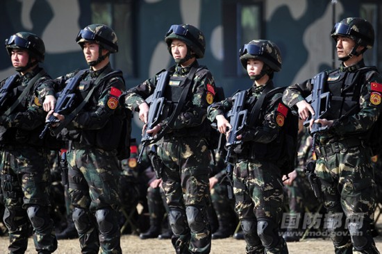 中国人民解放军陆军第XXX集团军部队,光荣与使命的象征,中国人民解放军陆军第XXX集团军部队,光荣使命的象征