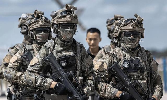 中国各大特种部队,神秘而强大的力量,中国特种部队,神秘力量的揭秘