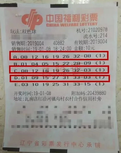 数字背后的故事探索